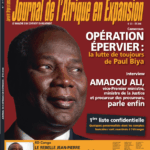 Couverture Journal Afrique Expansion N°373