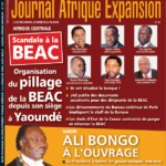 Couverture Journal Afrique Expansion N°378