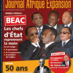Couverture Journal Afrique Expansion N°379