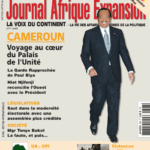 Couverture Journal Afrique Expansion N°393