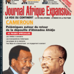Couverture Journal Afrique Expansion N°399