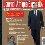 Couverture Journal Afrique Expansion N°411