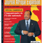 Couverture Journal Afrique Expansion N°418