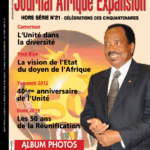 Couverture Journal Afrique Expansion Hors Série 21